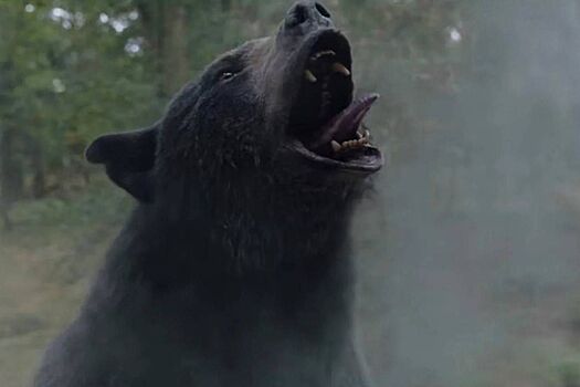Вышел трейлер «Кокаинового медведя» — последнего фильма Рэя Лиотты