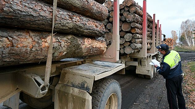 «Хороший момент»: вывоз древесины обложили пошлиной в 10%