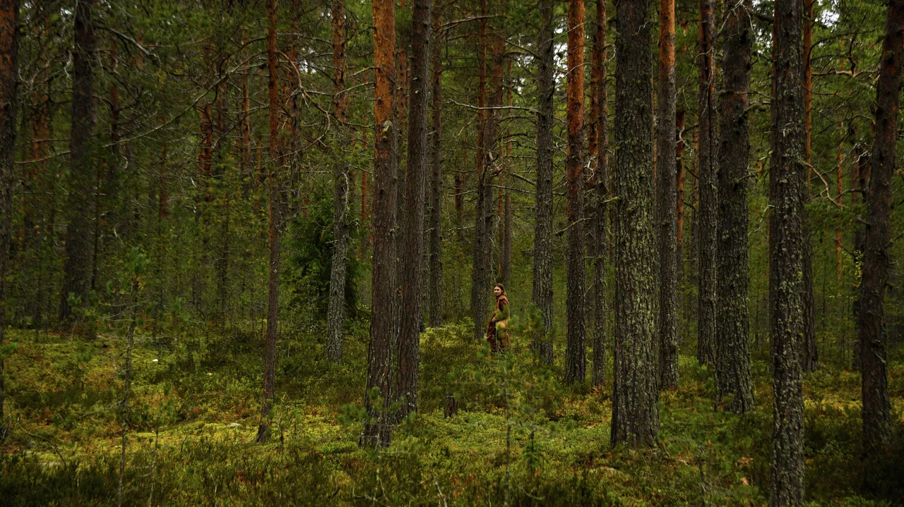 На видео попала хижина беглого россиянина, восемь лет прожившего в тайге