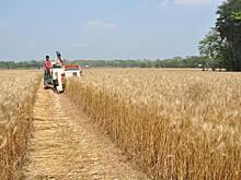 Как добавлять в мобильное приложение для фермеров 1 млн пользователей ежемесячно