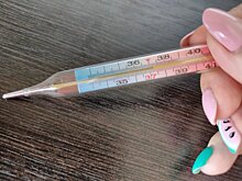 Итоги дня: ситуация с корью в Удмуртии и высадка ясеней на улице Ленина в Ижевске