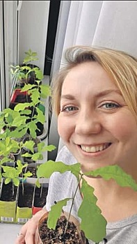 Жительница Алтуфьева вырастила на подоконнике аллею дубов