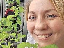 Жительница Алтуфьева вырастила на подоконнике аллею дубов