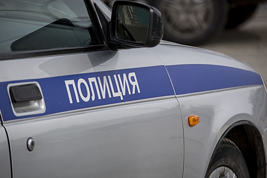 В припаркованной машине под Новосибирском нашли труп мужчины