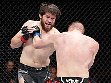 UFC Fight Night 205: Алиасхаб Хизриев — Денис Тюлюлин, результат, видео
