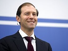 Гурвич: Санкции подтолкнут бизнес к участию в кампании по амнистии капиталов