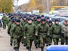 Омбудсмен получила почти 100 жалоб на частичную мобилизацию в Новосибирске