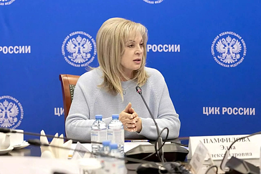 Иностранные наблюдатели проявили интерес к выборам в Госдуму