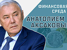 Депутат Госдумы Анатолий Аксаков рассказал, как накажут мошенников за использование искусственного интеллекта