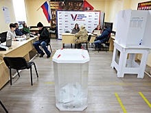 Почти 4,3 млн человек проголосовали в Москве за первые два дня выборов