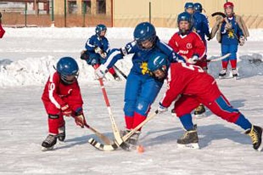 Юные хоккеисты из Красноярска отравились в Кемерове