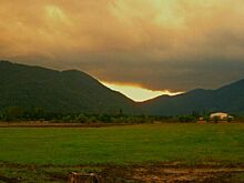 В какие регионы можно переехать на время цветения