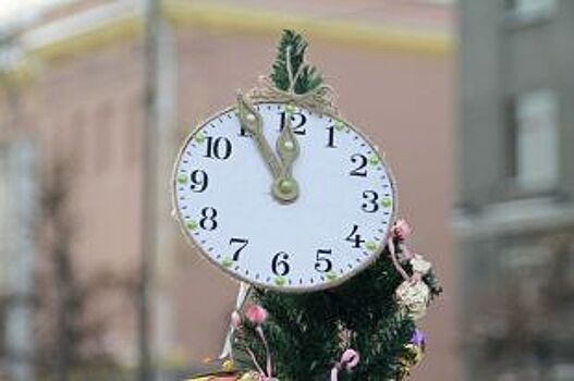 Новогодние елки в Тамбове смонтируют и украсят к 20 декабря