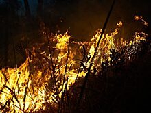 Красноярские десантники-пожарные помогут тушить лесные пожары в Якутии