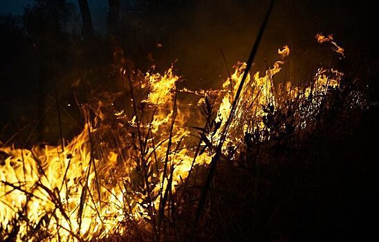 В Красноярском крае за сутки потушили 12 лесных пожаров