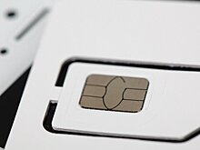Депутат Лантратова предложила ввести скидку 50% на оплату связи для ветеранов СВО