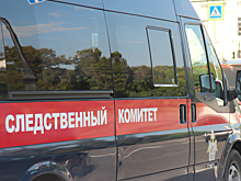 СК возбудил дело после гибели трех человек от ядовитой жидкости в Ленинградской области