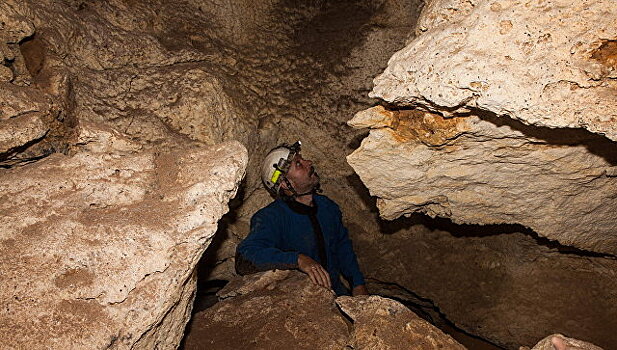 В крымской пещере нашли останки гигантского носорога