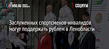 Заслуженных спортсменов-инвалидов могут поддержать рублем в Ленобласти