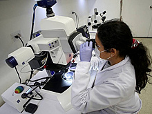 Развитие метастазов рака кишечника связали с одной из форм белка CD44