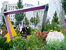 Клумбы на года: многолетние растения на клумбах Москвы