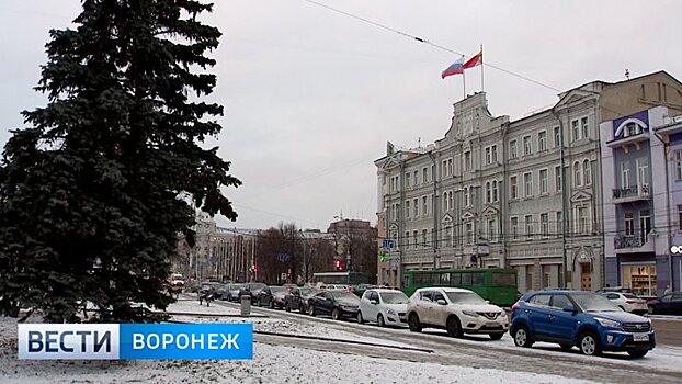 Второй шанс для «любого горожанина». Воронежцев позвали попробоваться в мэры