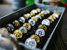 Биткойн-ETF привлекли $1 млрд за два дня