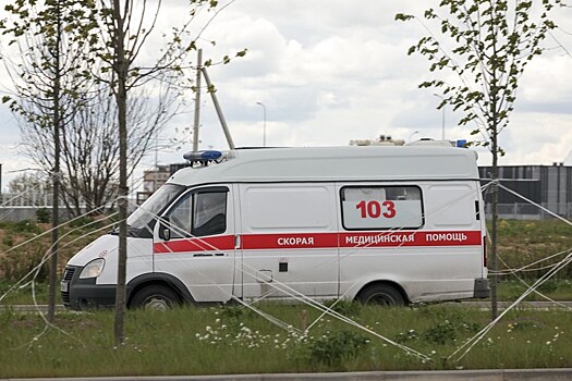 Человек погиб в аварии с грузовиками в районе Новоегорьевского шоссе