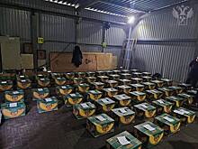 В Россию ввезли почти две тонны кокаина за 20 миллиардов рублей в контейнере с бананами