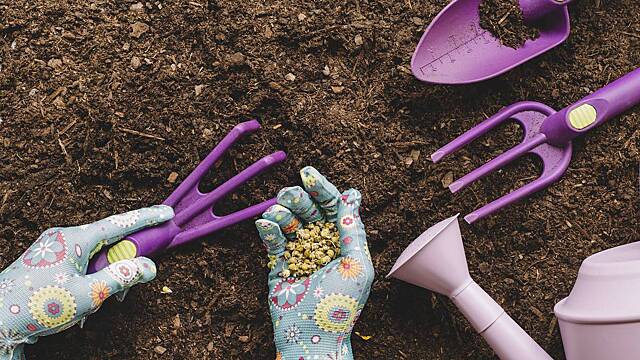 Лунный календарь для садоводов на март 2026 года: когда и что сажать