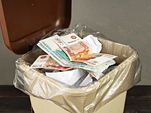 Самые нестандартные инвестиции: куда опасно вкладывать деньги новичкам