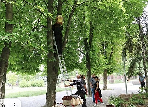Белок поселят в парке станицы Егорлыкской