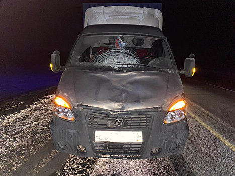 В Самарской области грузовик насмерть сбил пешехода