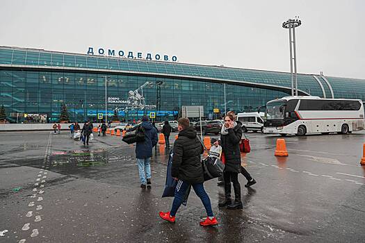 Еще три аэропорта Москвы ввели ограничения на полеты