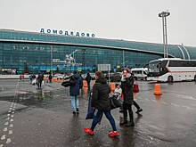 Еще три аэропорта Москвы ввели ограничения на полеты