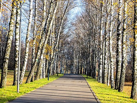 Москвичам пообещали 20-градусное тепло в середине недели