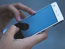 Ростовчанина подозревают в краже 180 тыс. рублей с помощью мобильного банка