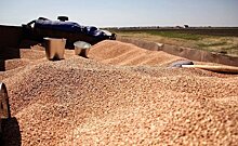 Камияр Байтемиров заявил, что Татарстану придется докупить 300—350 тыс. тонн зерна