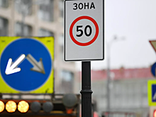 В России появились два новых дорожных знака