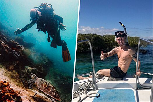 Дайвинг в разных странах: почему стоит пробовать, снорклинг и погружения на Большом Барьерном рифе, Галапагосах