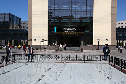 Новгородцы попросили Новосибирскую область помочь с физмат школами и радиоэлектроникой