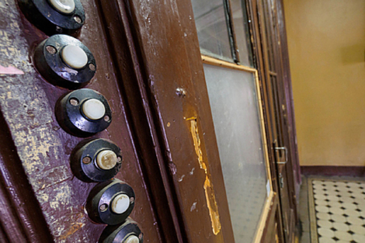 Россиянка случайно обнаружила в своей комнате пятерых жильцов