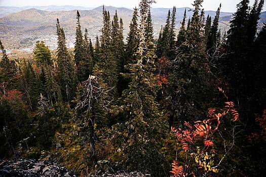 Стали известны подробности поисков в пещерах бесследно исчезнувших в тайге россиян