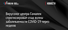 Вирусолог центра Гамалеи спрогнозировал спад волны заболеваемости COVID-19 через неделю