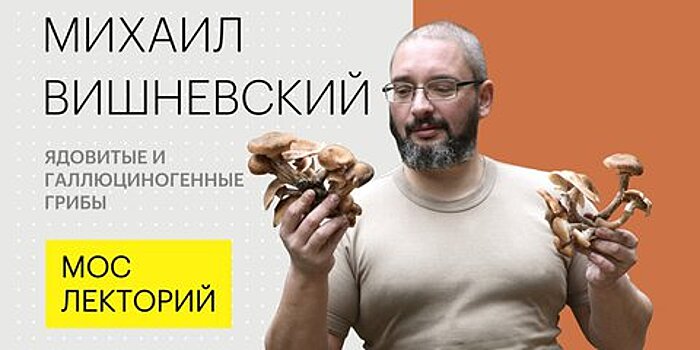 Мослекторий покажет, есть ли польза от ядовитых грибов