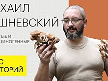 Мослекторий покажет, есть ли польза от ядовитых грибов