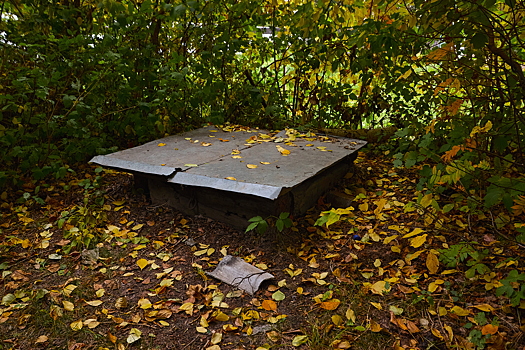 Кемеровчанин спрятал в погребе задушенную кабелем от зарядки жену