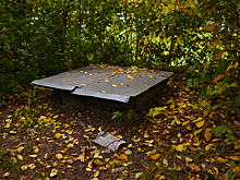 Кемеровчанин спрятал в погребе задушенную кабелем от зарядки жену