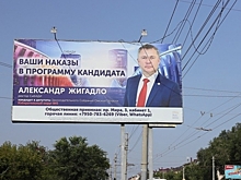 Александра Жигадло переизбрали на должность ректора СибАДИ