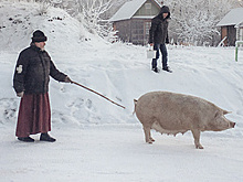 Российская глубинка в объективе смартфона. О псковском фотографе, покорившем Европу и США